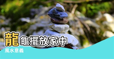 龍龜可以放房間嗎|臥室風水：龍龜擺放風水禁忌 不可正對床頭